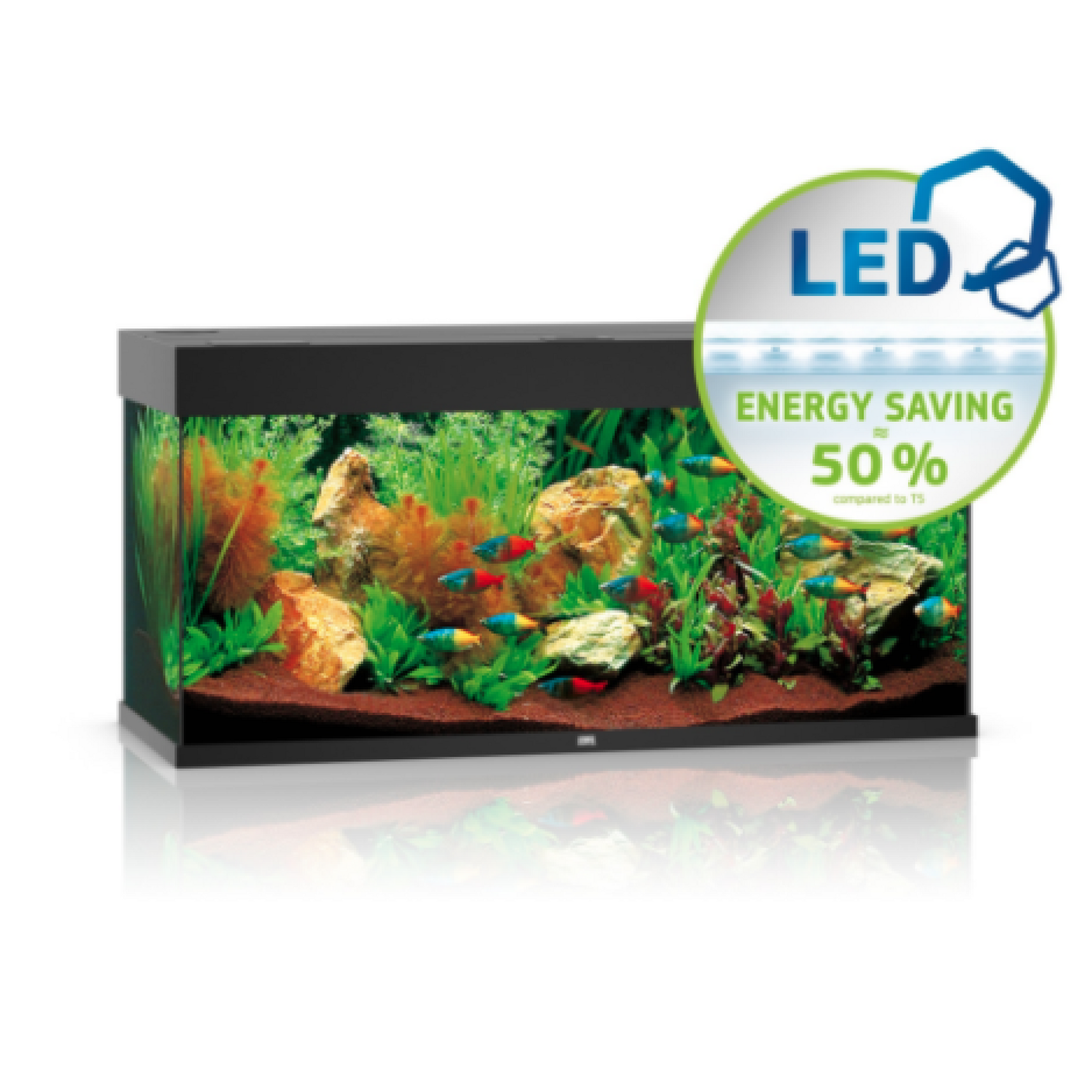 Rio Led