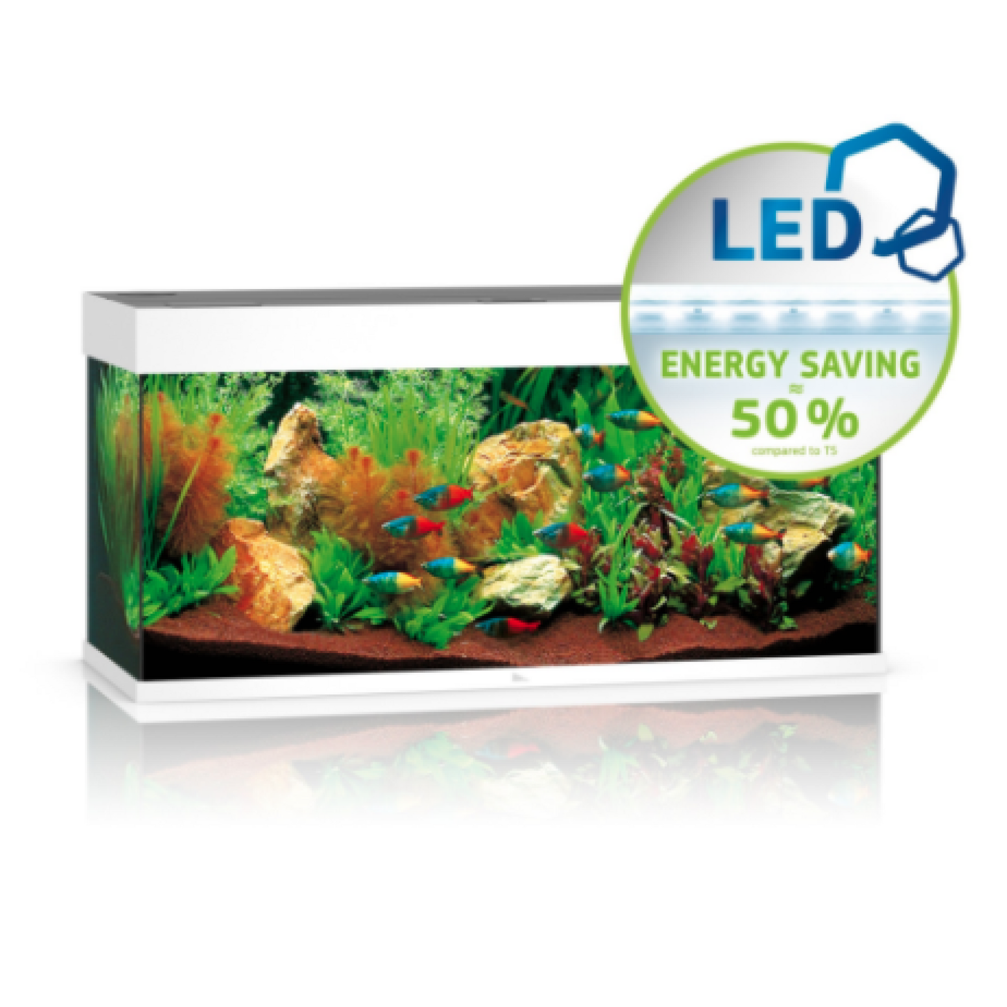 Rio Led