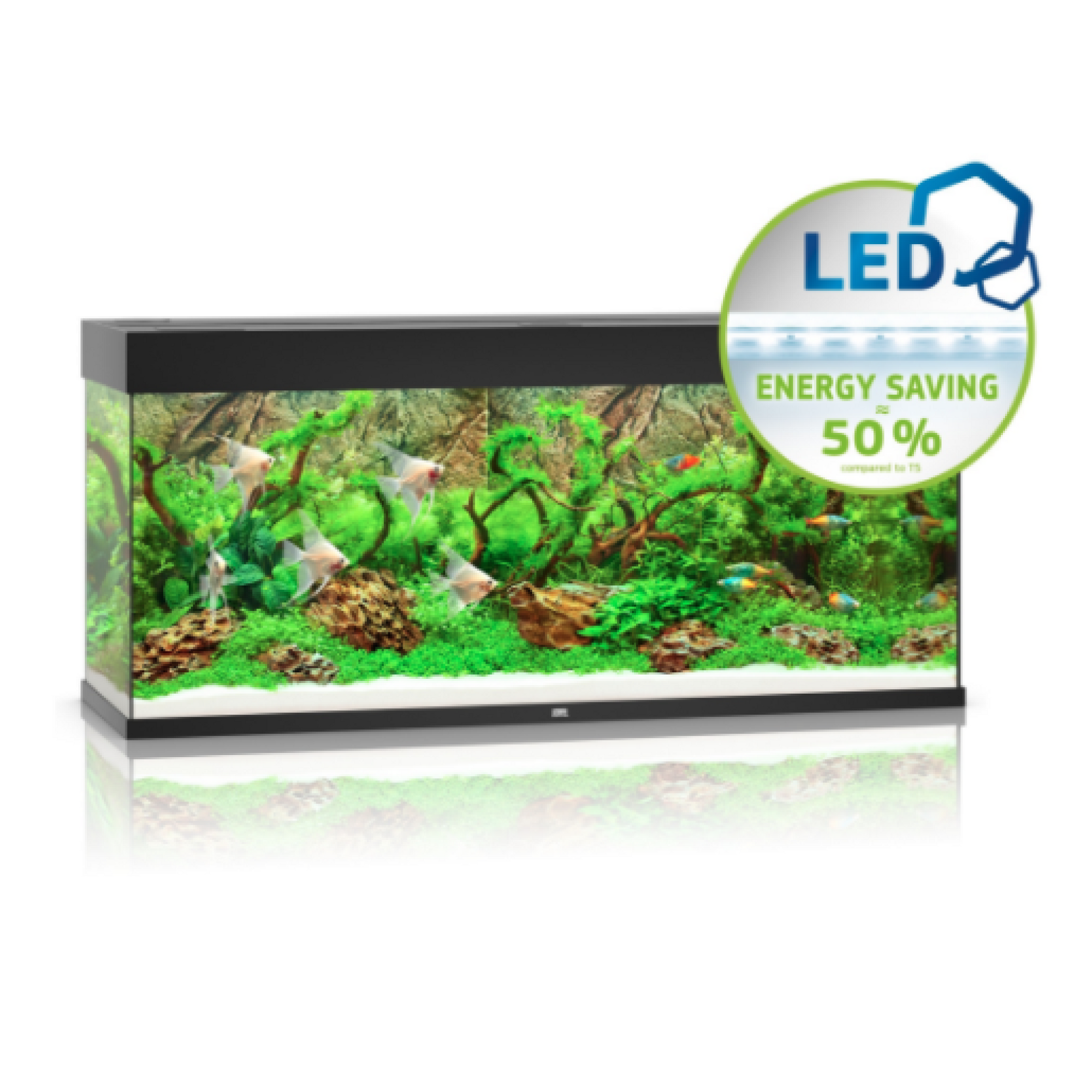 Rio Led
