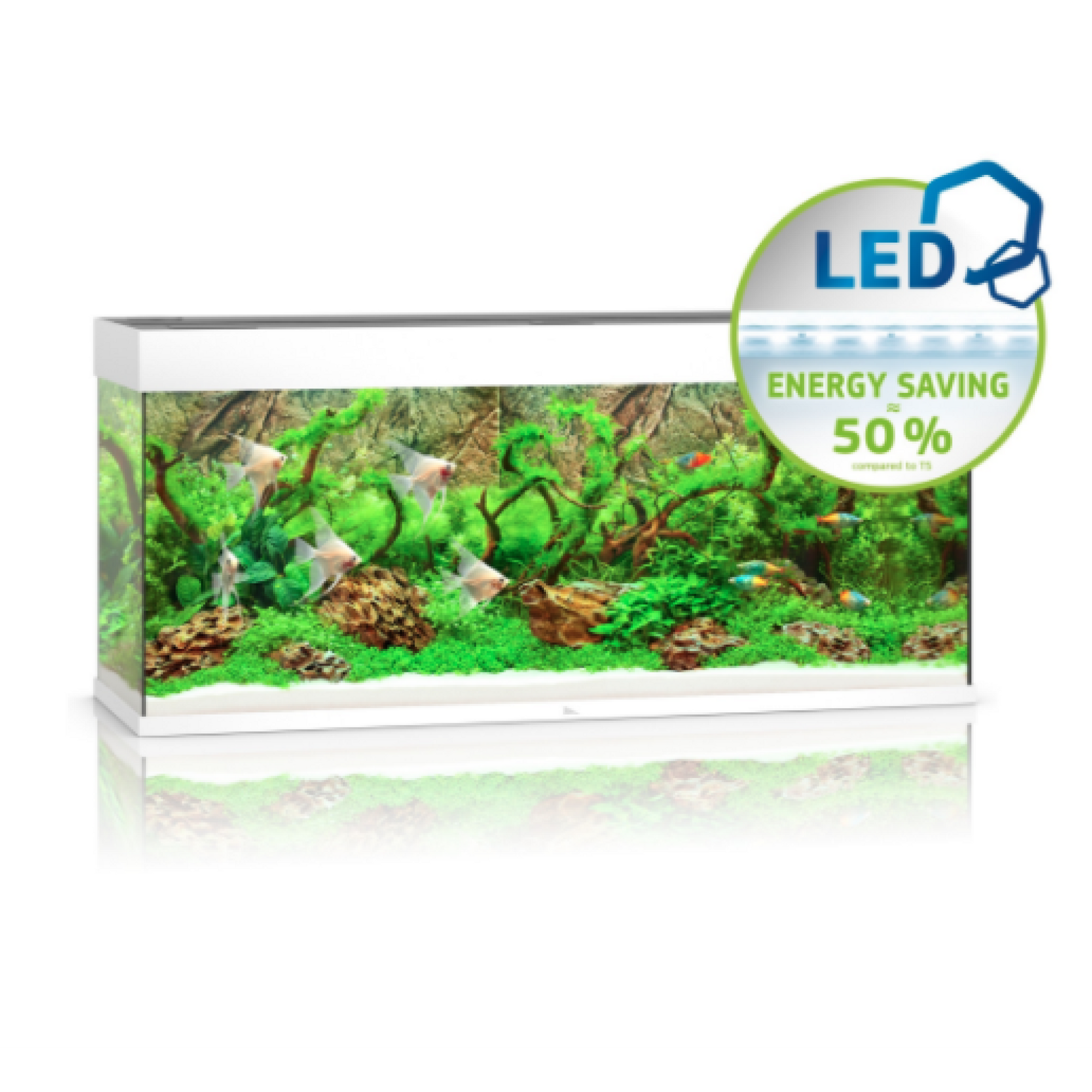 Rio Led