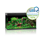 Rio Led