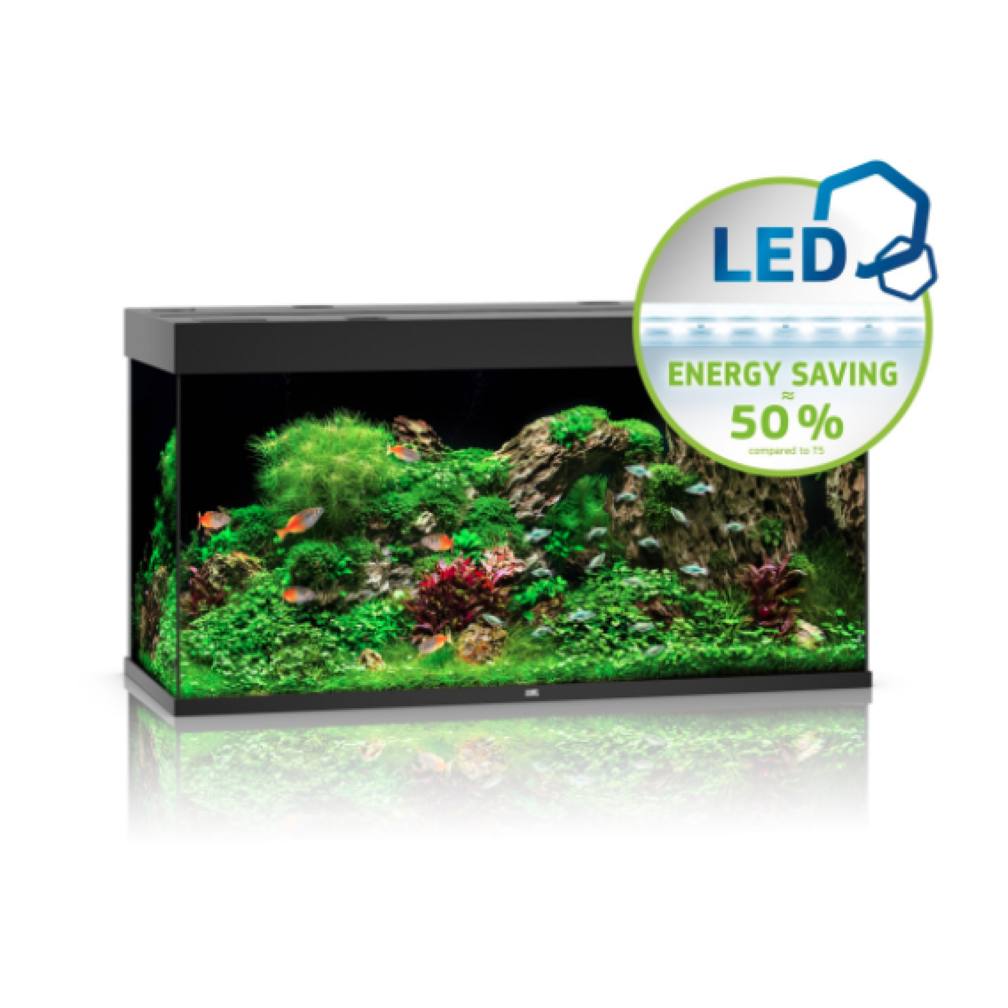 Rio Led