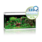 Rio Led