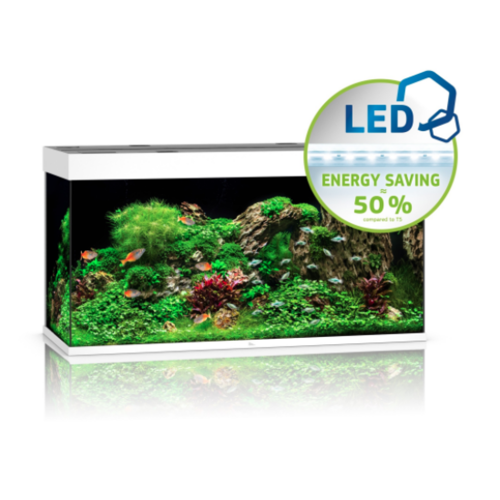 Rio Led
