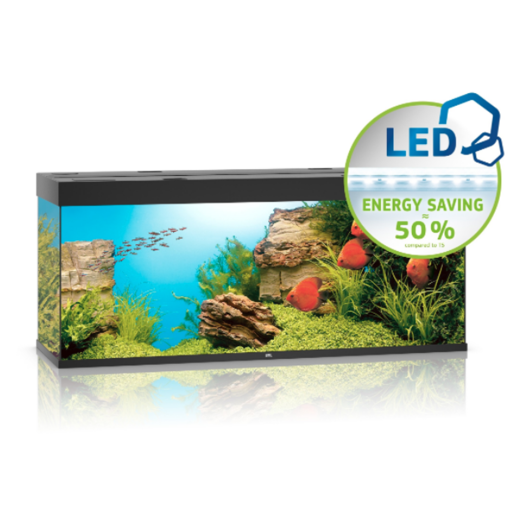 Rio Led