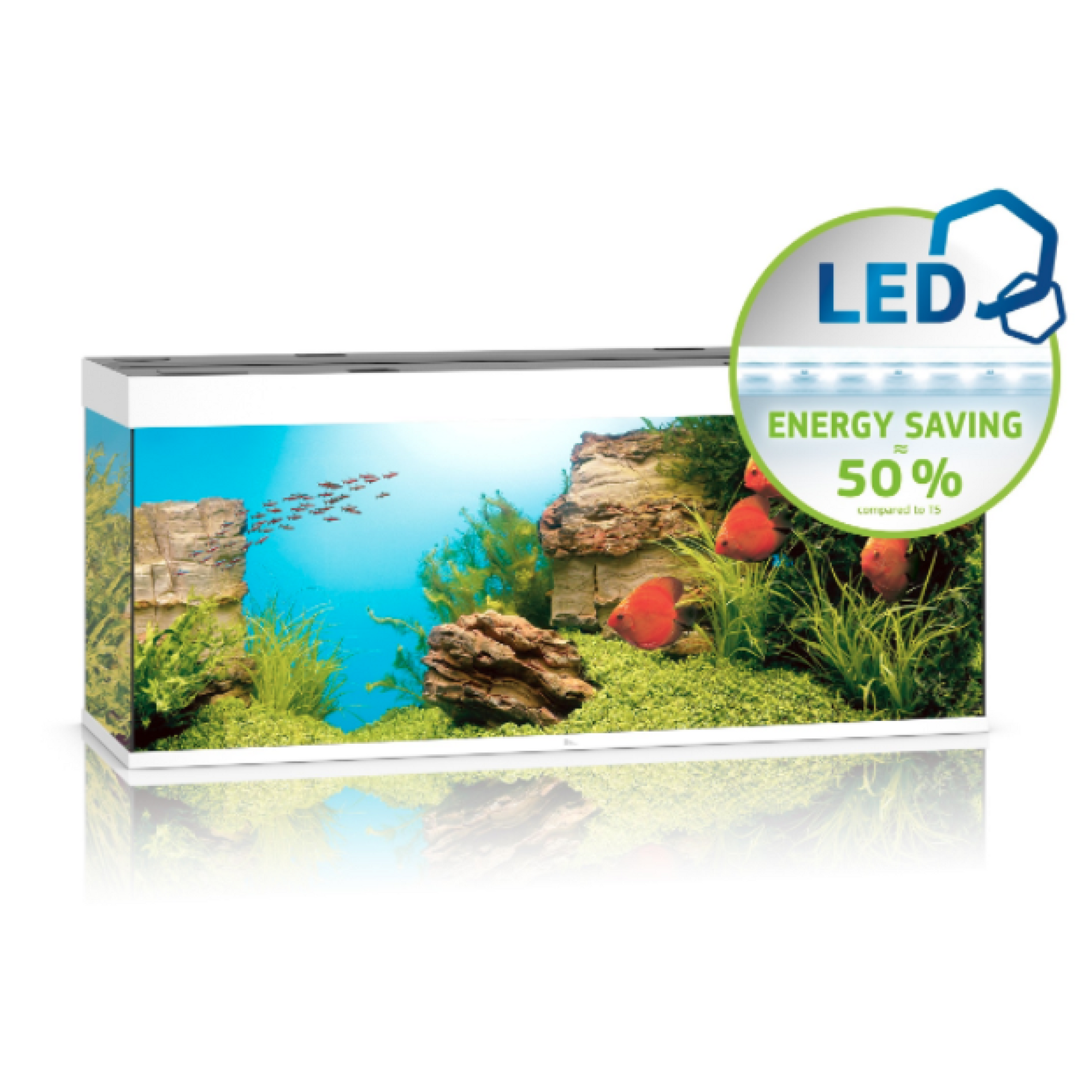 Rio Led