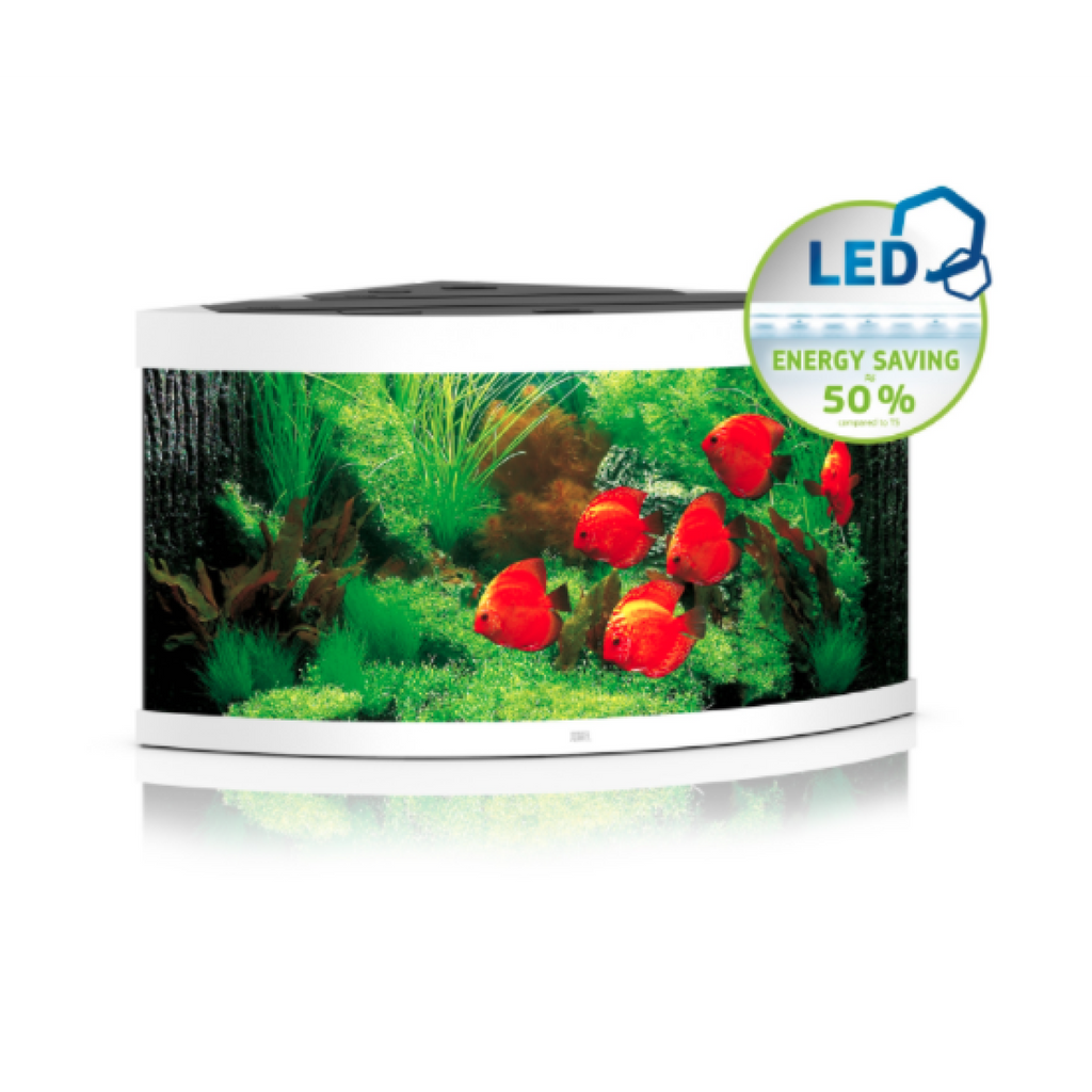 Trigon 350 LED White