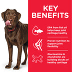 Hill's Science Plan Healthy Mobility Large Breed Adult Dog Food With Chicken (14kg)