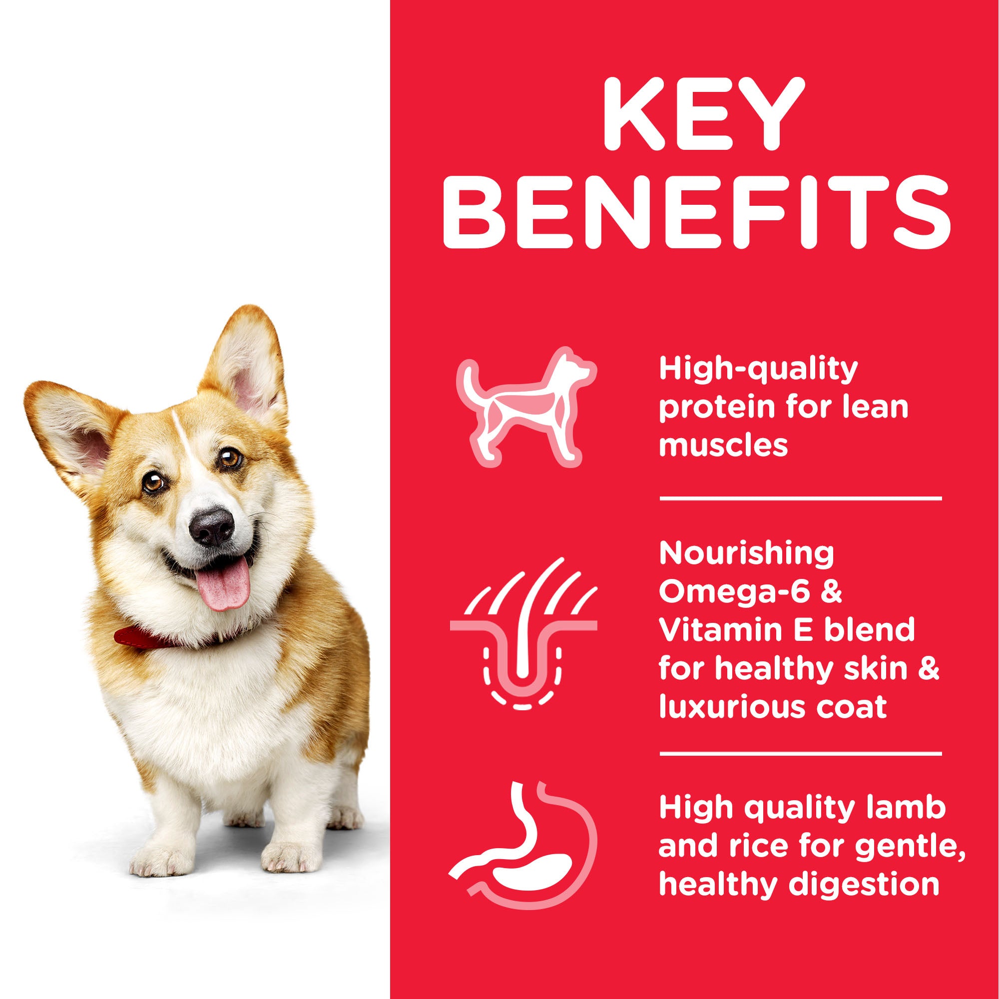 Hill's Science Plan Small & Mini Adult Dog Food With Chicken(10kg)