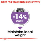 Canine Care Nutrition Mini Sterilized Adult 3 kg