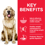 Hill's Science Plan Perfect Weight Large Breed Adult Dog Food With Chicken (12kg)