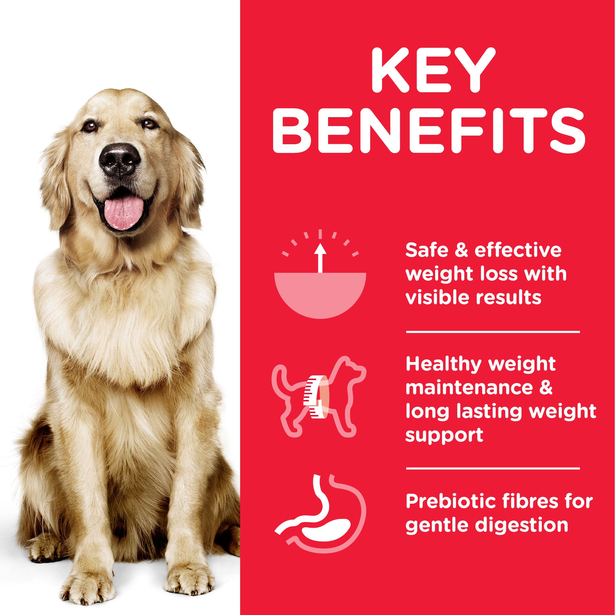 Hill's Science Plan Perfect Weight Large Breed Adult Dog Food With Chicken (12kg)