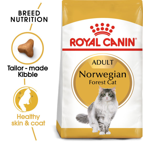 Feline Breed Nutrition Norwegian Forest Cat Adult 2 kg