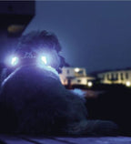Curli Luumi LED Safety Lights