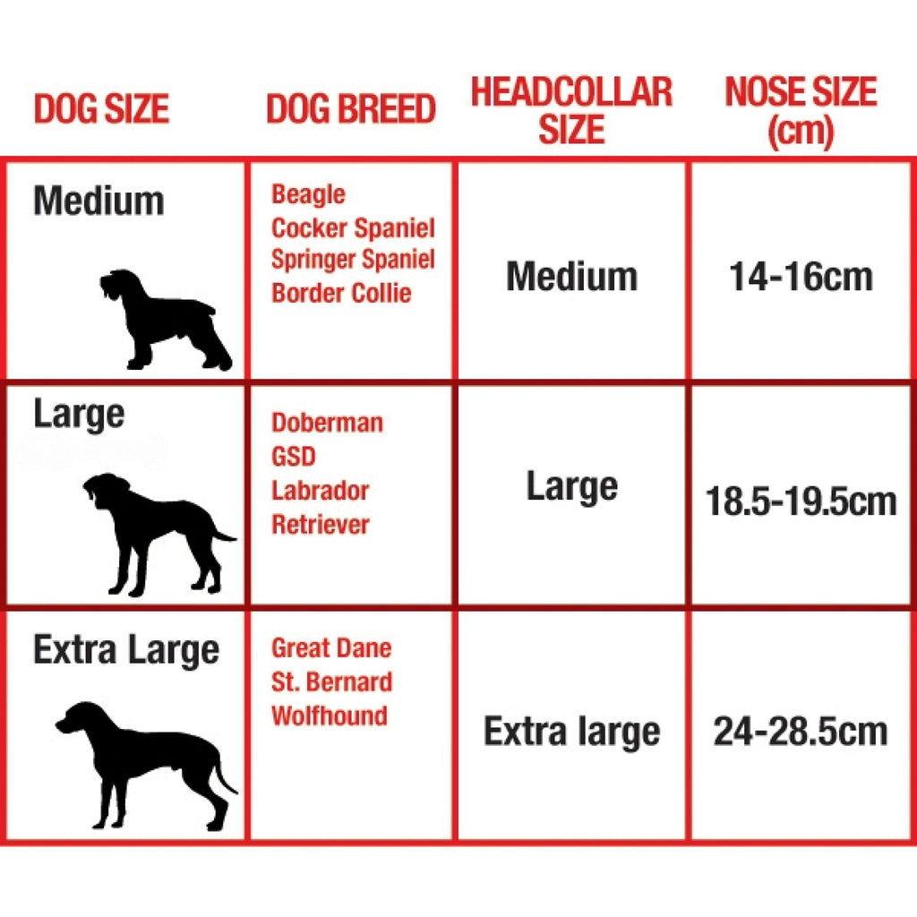 Walk-Ease Headcollar XL Size