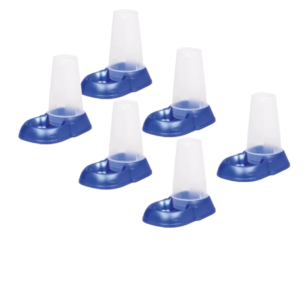 Maya Water Dispenser 6/pk, Small, 0.5 L