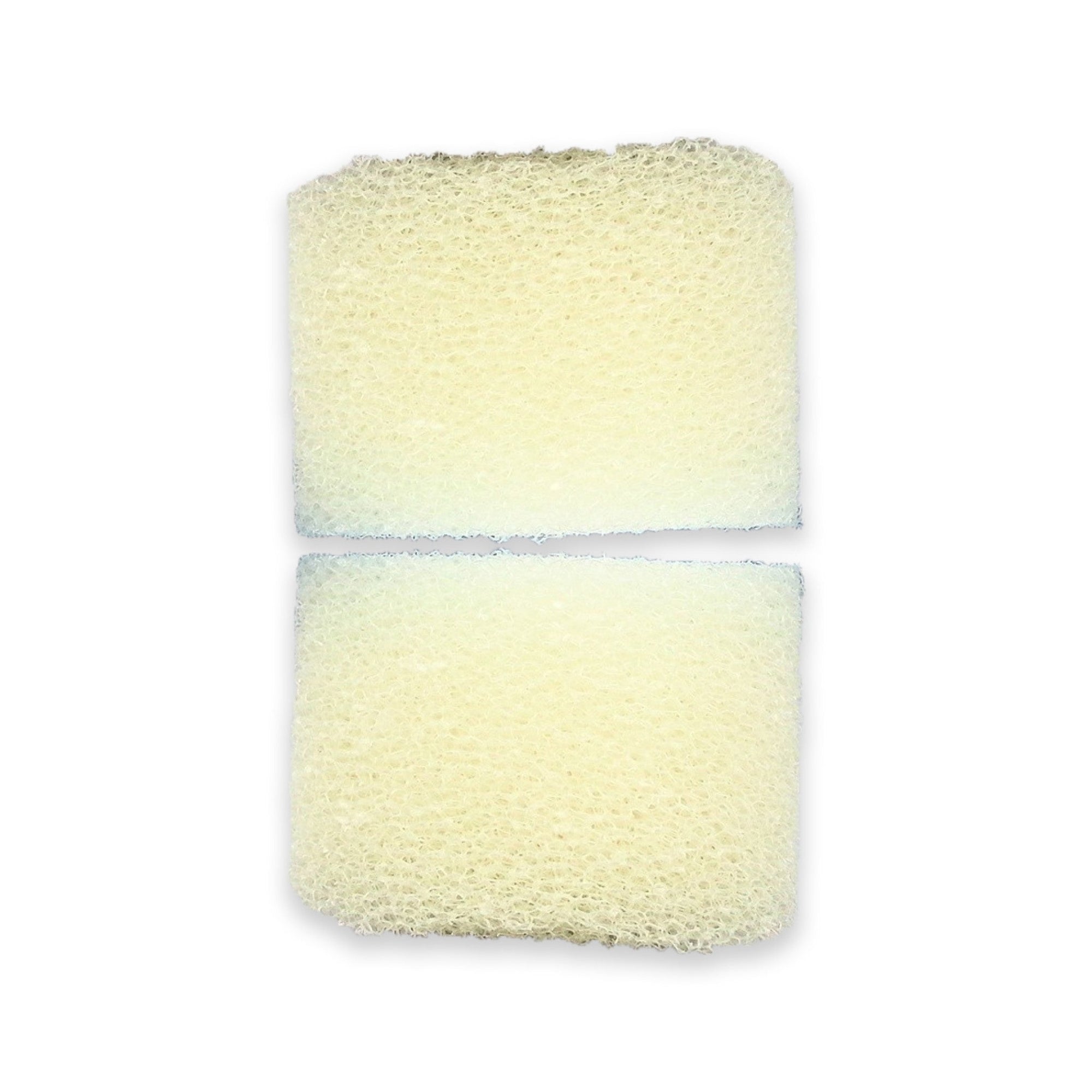 Shark White Filter Sponges 2/pk