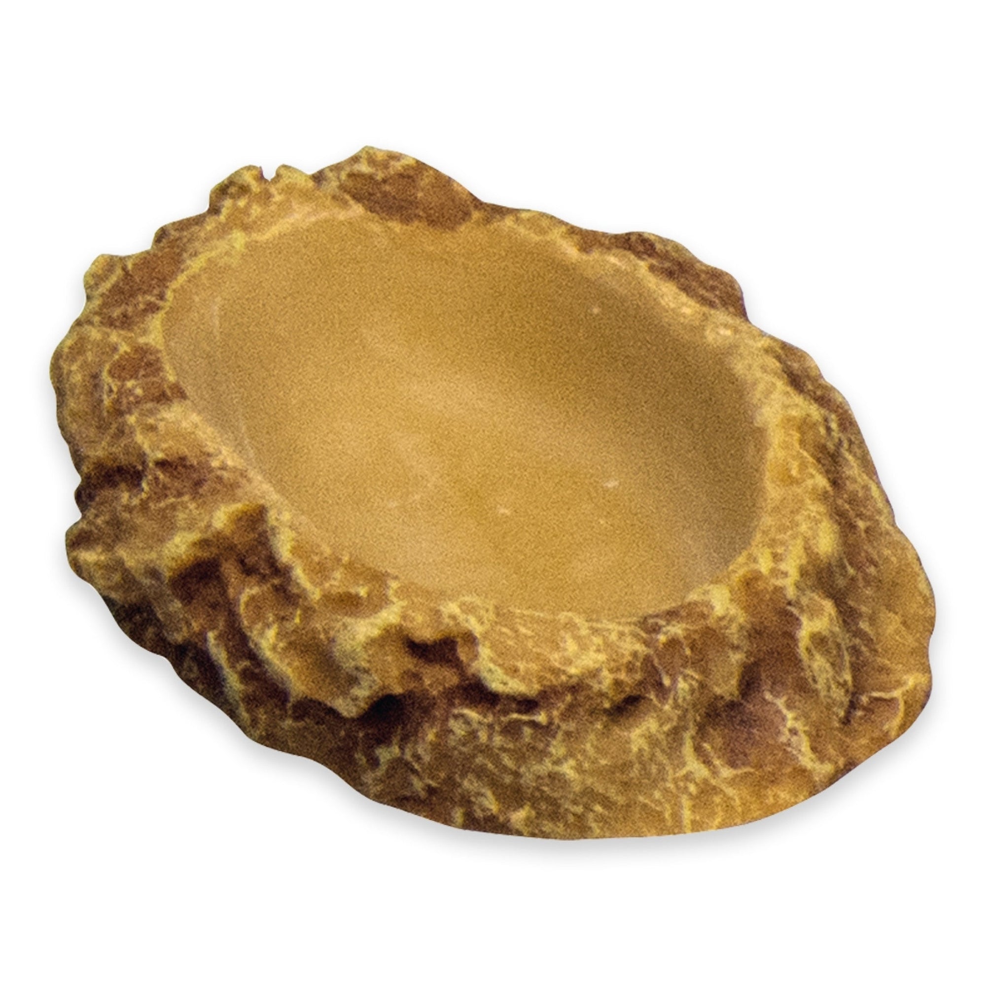 Flat Drinking Bowl