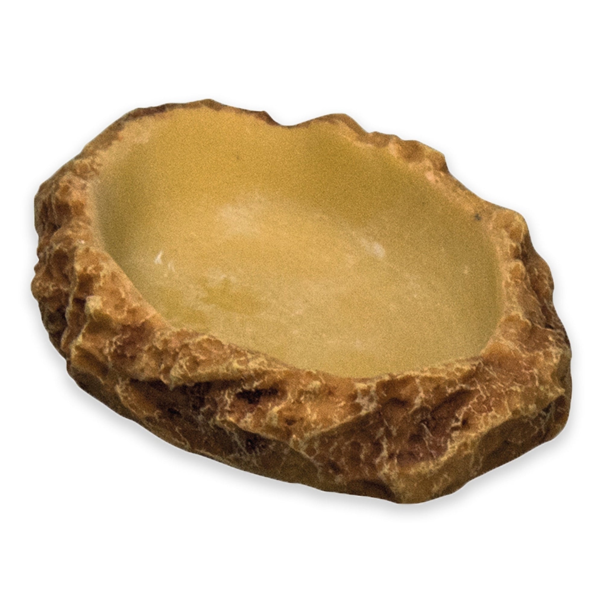 Flat Drinking Bowl