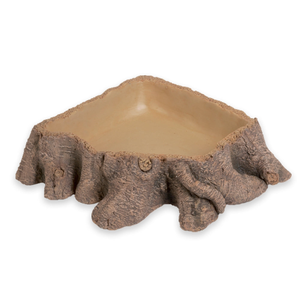Drinking Bowl Stump