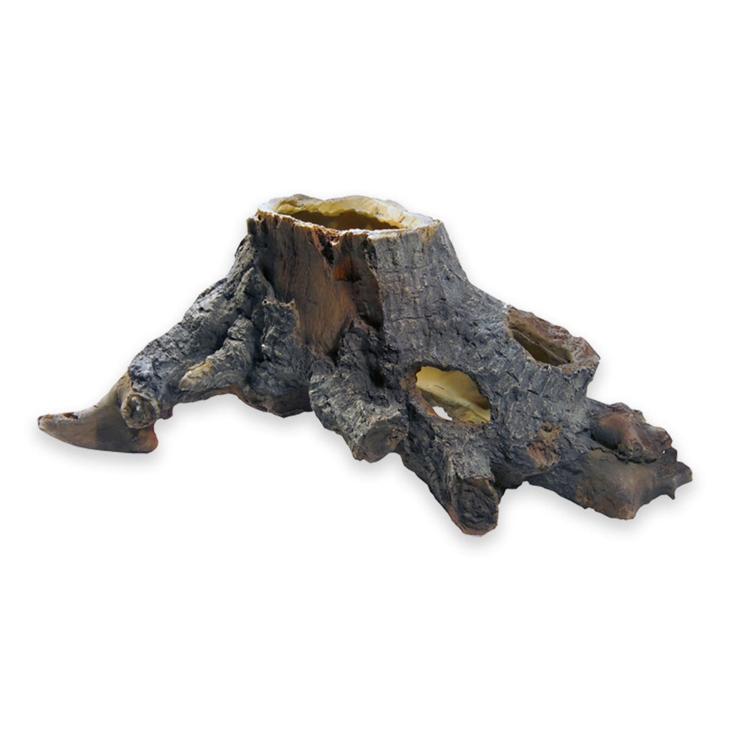 Stump Cavity