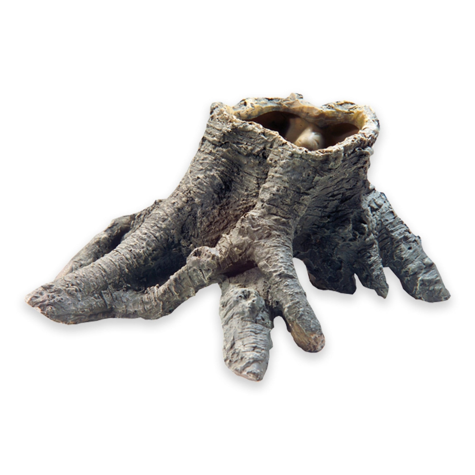 Stump Cavity