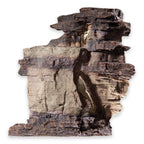 Arizona Rock