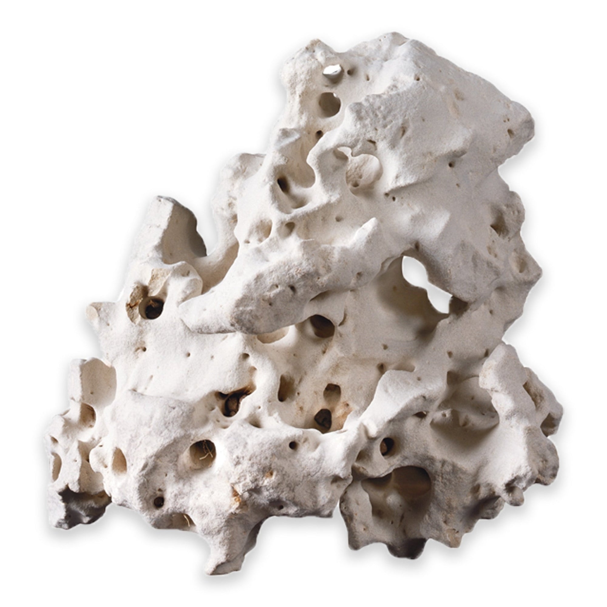 Cavity Rock Asian Medium, 1 to 2 kg