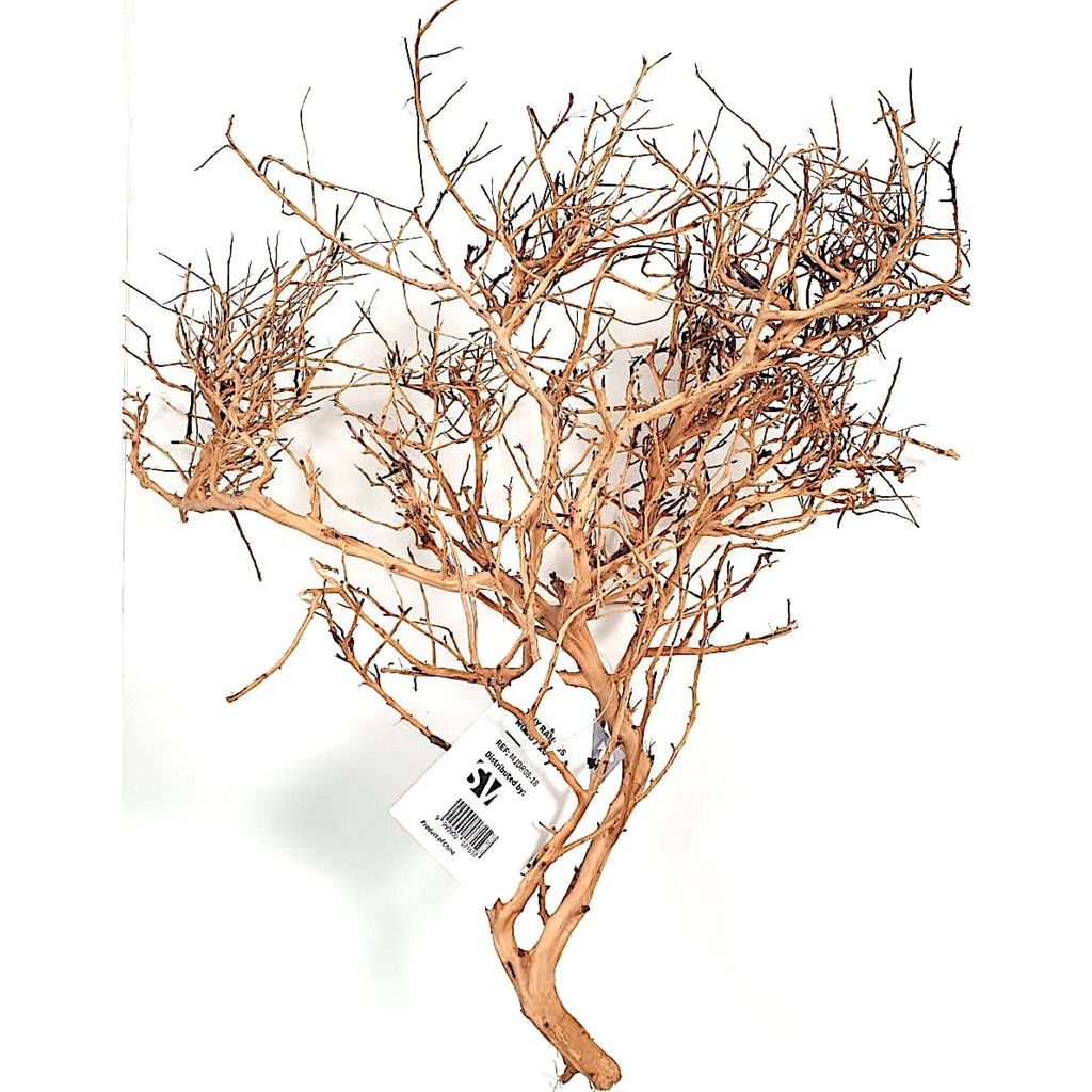 Tiny Ramous Wood, 20-50 cm / pc