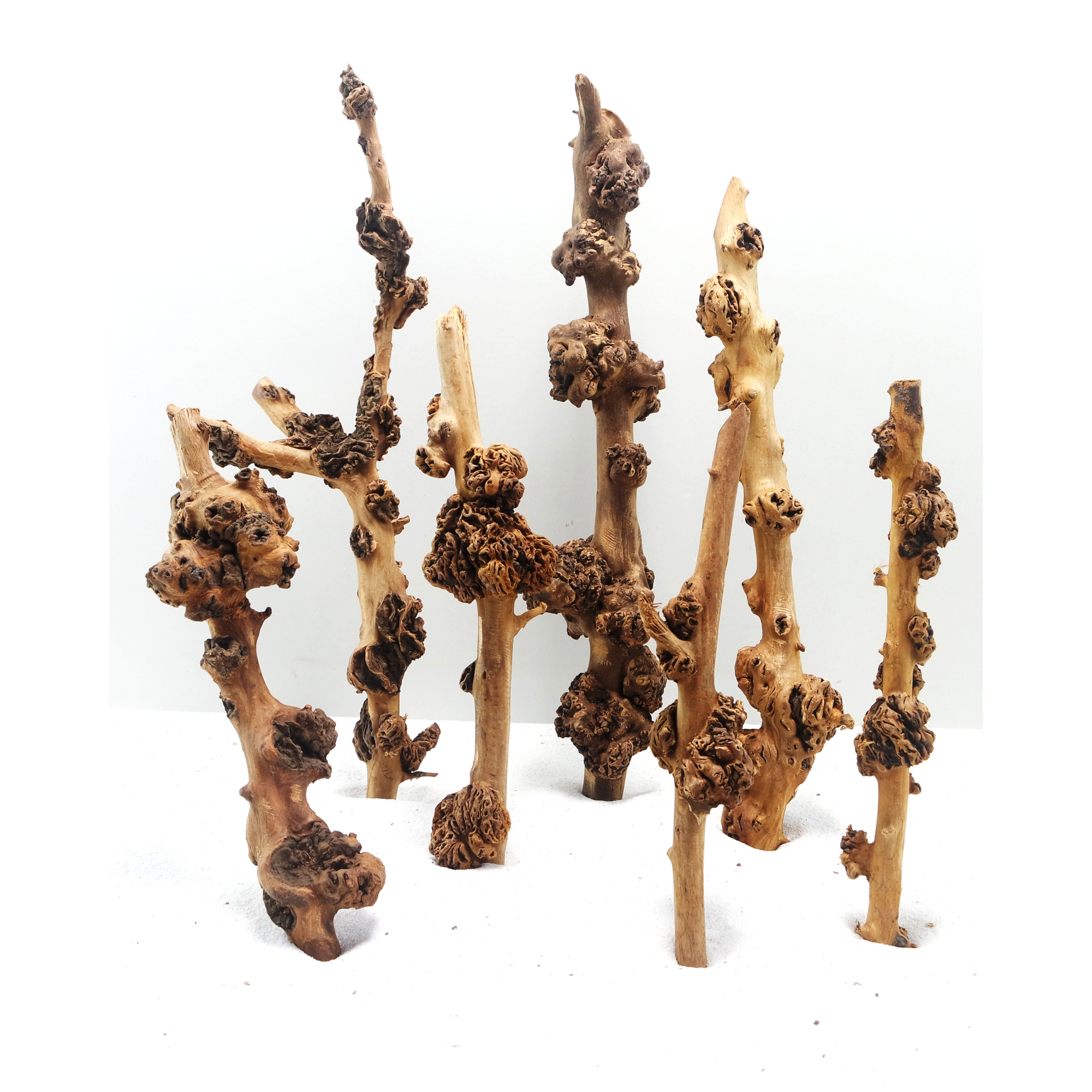 Sava Wood Medium, 30-45 cm / box