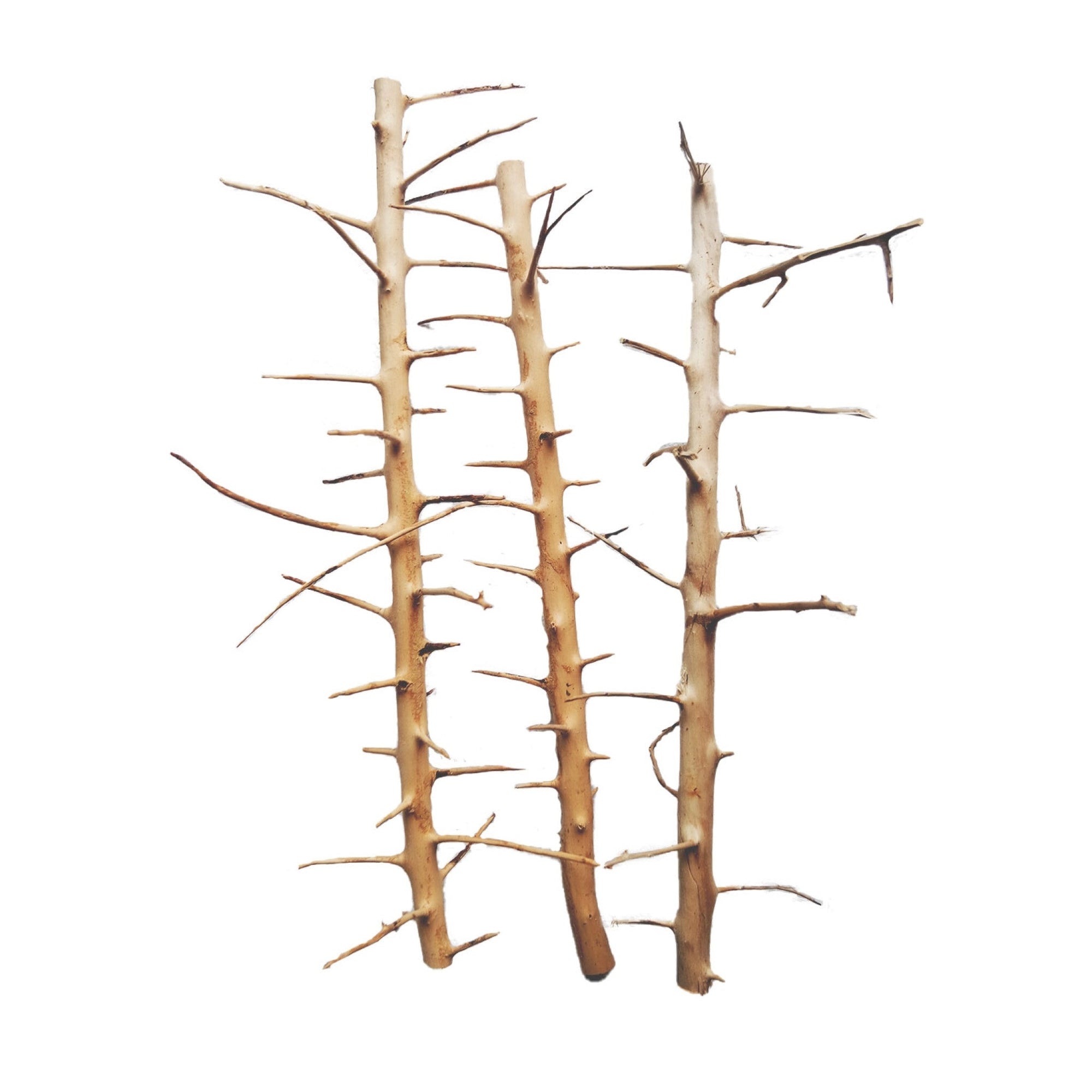 Long Hands Wood Small, 20-30 cm / box