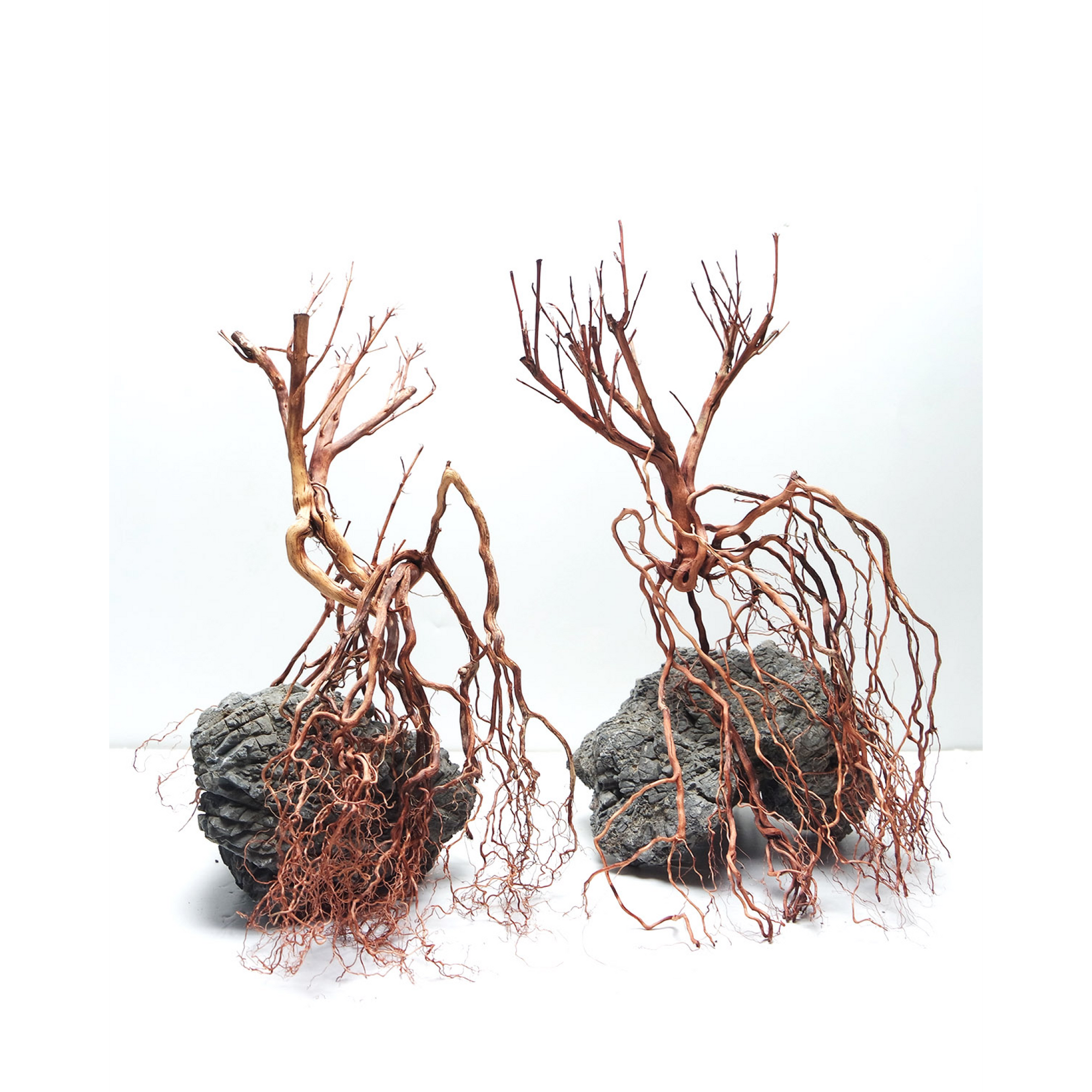 Whiskers Wood Small, 20-30 cm / box