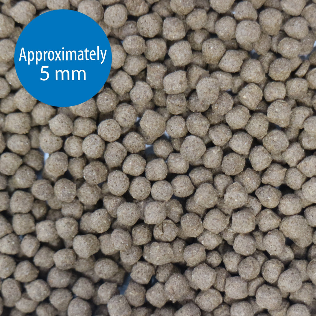 API Large Pellets Cichlid Fish Food 7.1 oz
