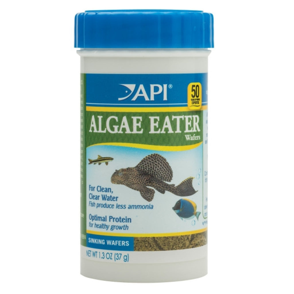 Api Algae Eater Wafers Fish Food