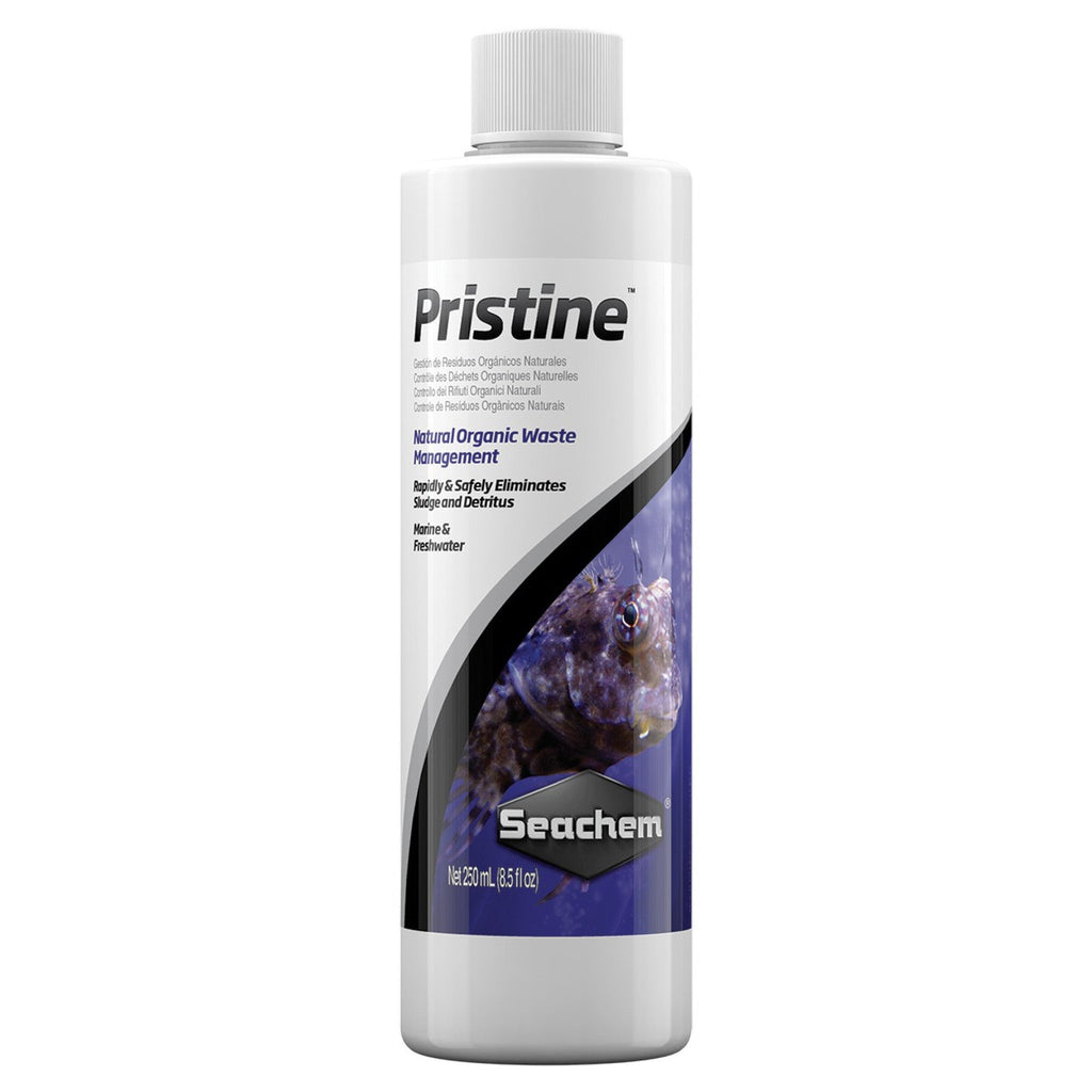 Pristine