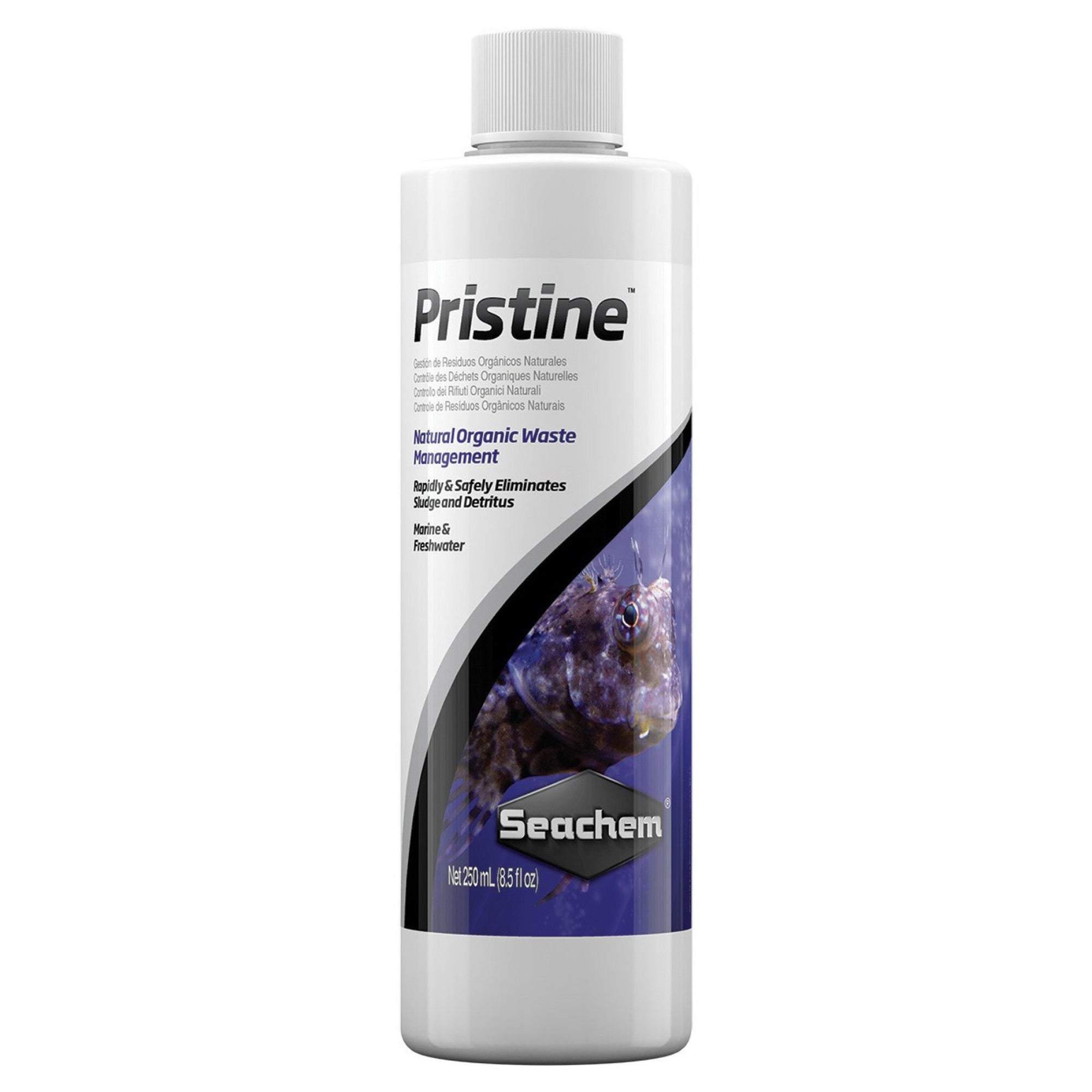 Pristine