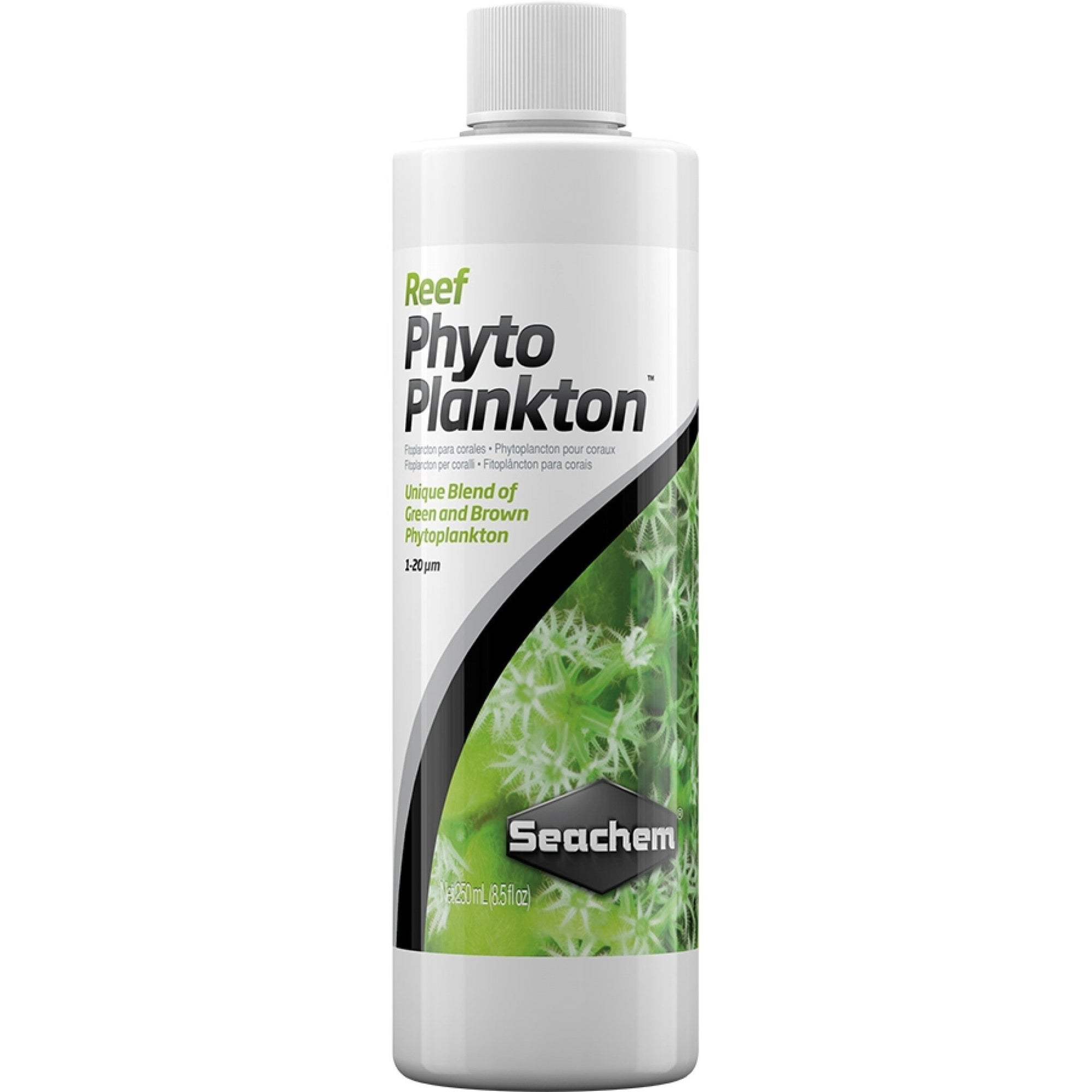 Reef Phytoplankton