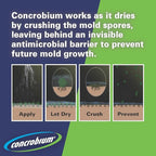 Concrobium 25001 Mold Control Jug, Gallon , CC128OZ 4PK MODE CONRTOL CA (4 x 3.78 L / 1 Gallon ) - PACK OF 4 GALLON