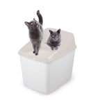 No Mess litter Box Sand