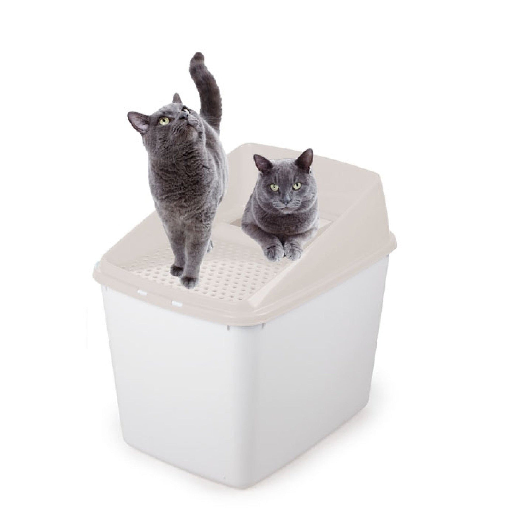 No Mess litter Box Sand