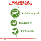 Feline Health Nutrition Outdoor 2 kg