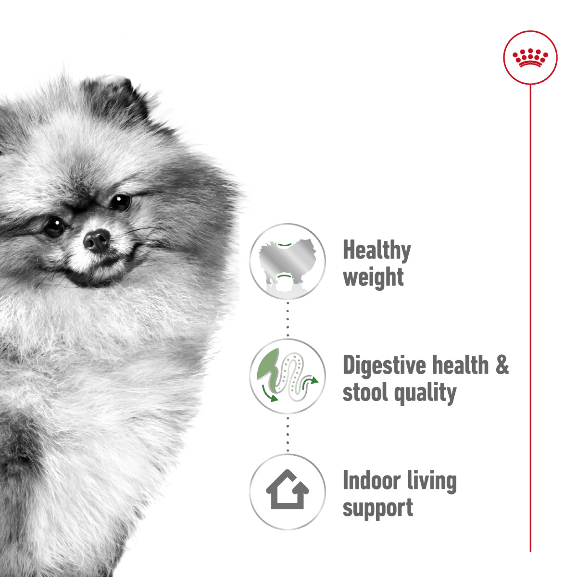 Size Health Nutrition Mini Indoor Adult 1.5 kg