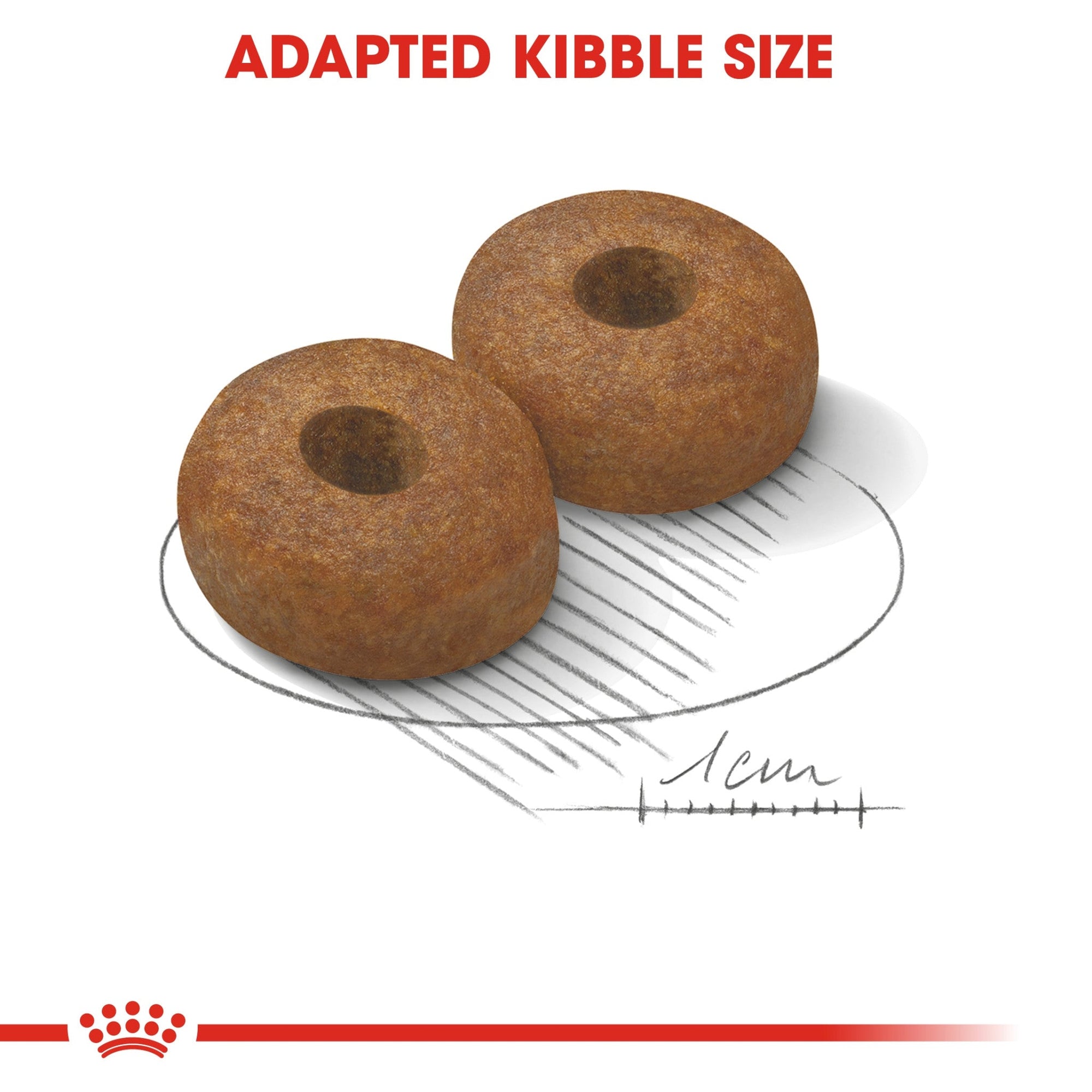 Size Health Nutrition Maxi Ageing 8+ 15 kg