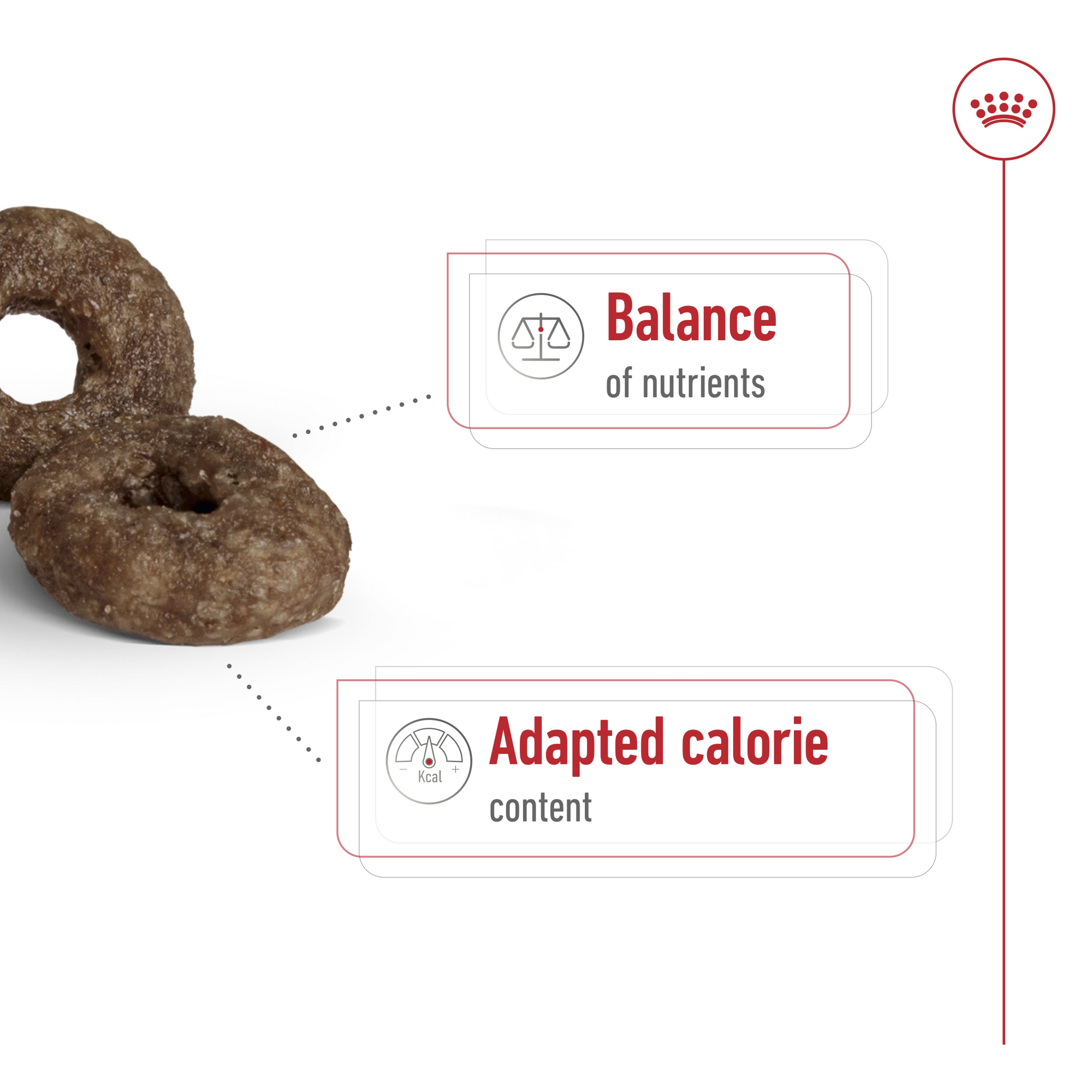 Size Health Nutrition Mini Ageing 12+ 1.5 kg