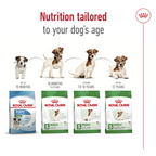 Size Health Nutrition Mini Ageing 12+ 1.5 kg