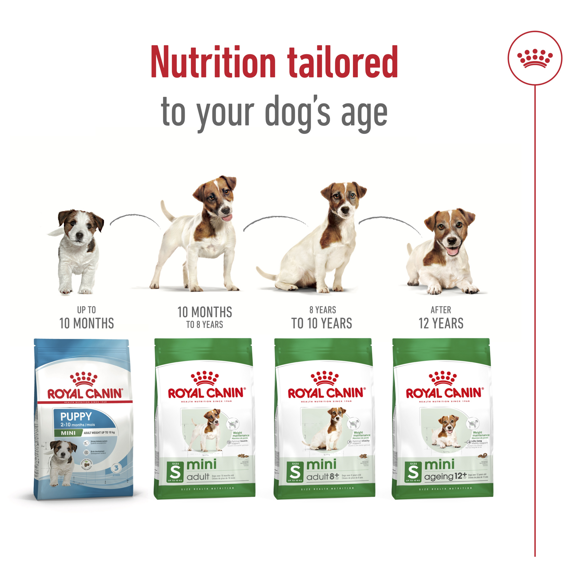 Size Health Nutrition Mini Ageing 12+ 1.5 kg