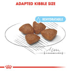 Size Health Nutrition Mini Starter 1 kg