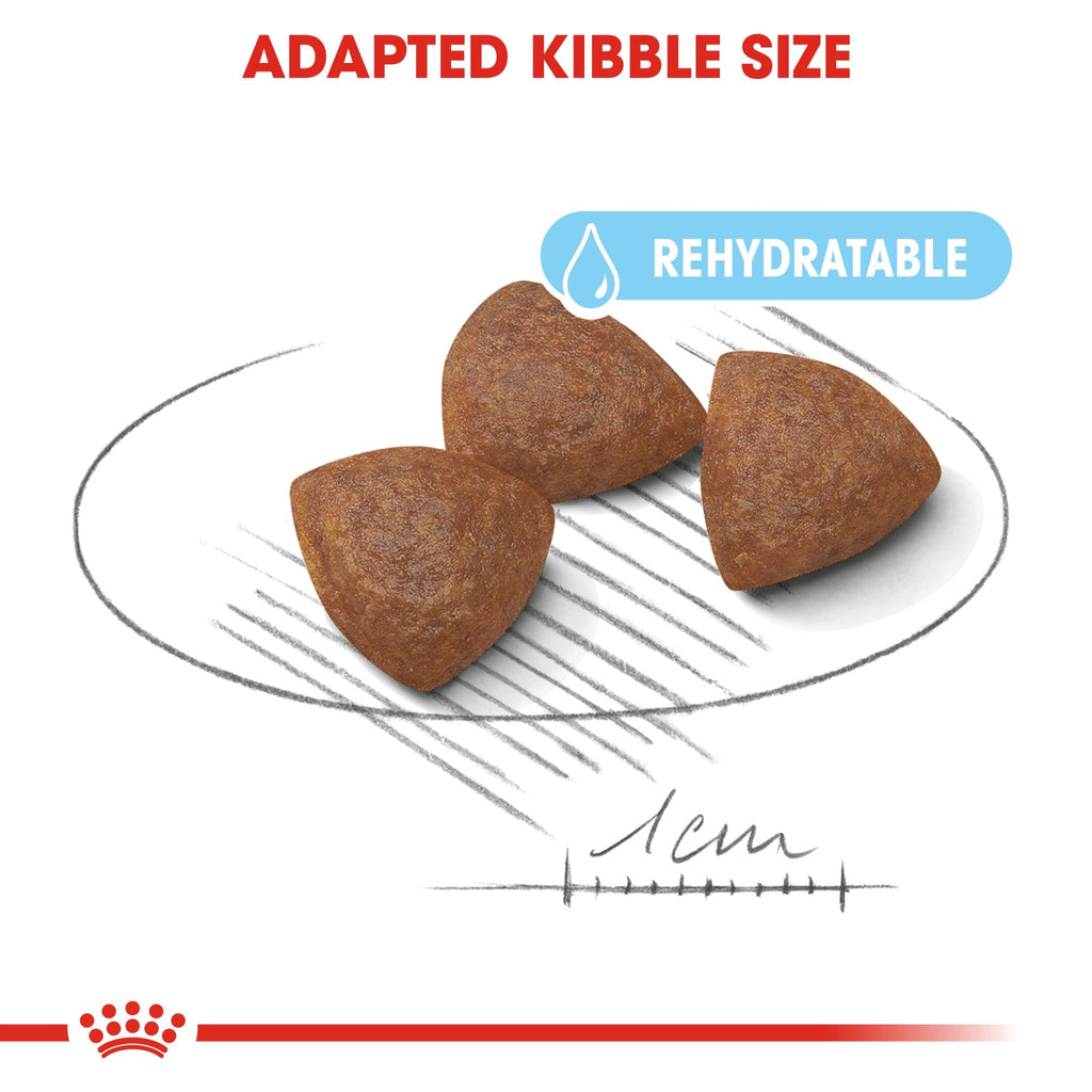 Size Health Nutrition Medium Starter 4 kg