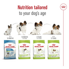 Size Health Nutrition XS Adult 8+ 1.5 kg