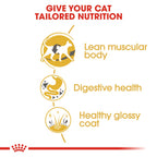 Feline Breed Nutrition Siamese Adult 2 kg